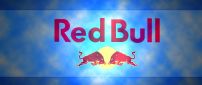 Energy drink - Red Bull Logo Wallpaper