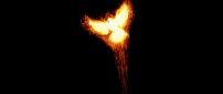 Phoenix bird in the flames - Abstract dark wallpaper
