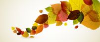 Abstract autumn leaves - Colored line