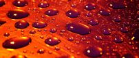 Orange 3D wallpaper with many water drops