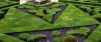 Green and purple garden with a fountain in the middle