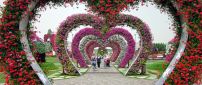 Red and pink flower tunnel in the form of hearts