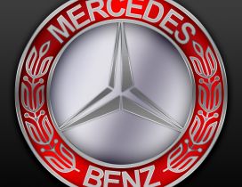 Red and gray Mercedes Benz logo