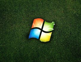 Windows logo in the green grass - Eco logo