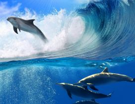 Beautiful many dolphins swims in a big wave