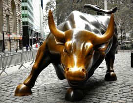 Charging Bull Statue in New York