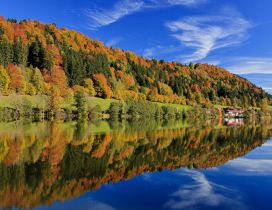 Bavaria forest reflected in water - Landscape wallpaper