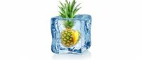 A pineapple in an ice cube - Frozen fruit