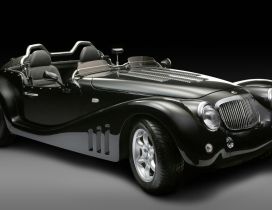 Black Leopard Roadster Studio