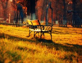 Autumn sun in the park - beautiful moments