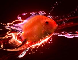 Abstract red fish in a HD wallpaper