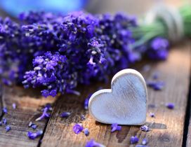 Purple lavender and a white heart made of wood