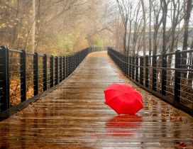 Red umbrella on the bridge - Rainy day