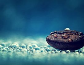A coffee bean in the rain drops - HD wallpaper