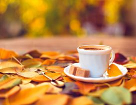 Sweet coffee and an autumn carpet - HD wallpaper