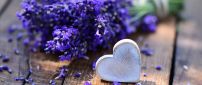 Purple lavender and a white heart made of wood