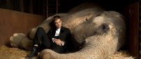 Robert Pattinson in black suit besides an elephant