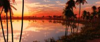 Palms around the lake - Amazing sunset landscape