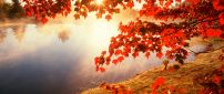 Good morning Autumn sunlight - HD wallpaper