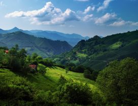 Cantabrian Mountains - Amazing green landscape