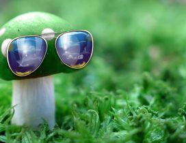 Funny green mushroom wear sunglasses