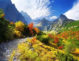 Mountain path - sunny autumn day