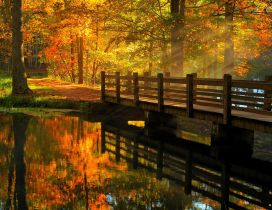 Wooden bridge over the river - beautiful autumn day