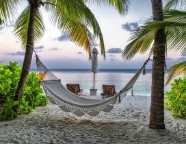 Relaxing corner on the beach between palms
