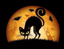 Black scary cat in the night of Halloween