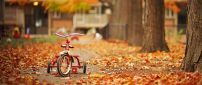 Special childhood - bike in the park on Autumn