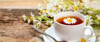 Chamomile tea - Have a good day every day