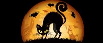 Black scary cat in the night of Halloween