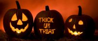 Trick or Treat - Happy Pumpkins of Halloween