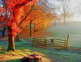 Beautiful Autumn painting - Sunlight on the field