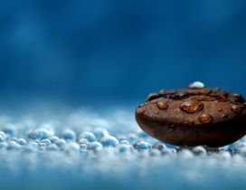 Drops of water on a big coffee bean - HD wallpaper