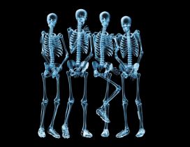 Funny skeletons naked - HD wallpaper