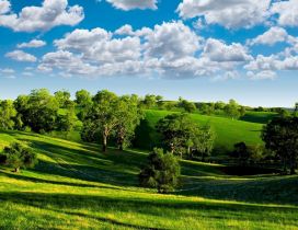 Beautiful sunny day of summer - nature landscape