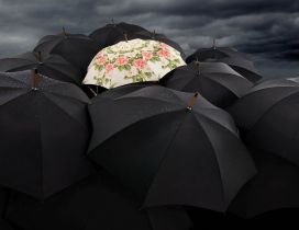 One coloured umbrella with flowers - black wallpaper