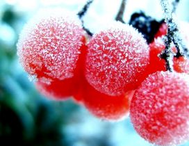 3D red frozen cranberries - delicious fruits in winter time