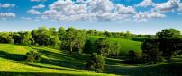 Beautiful sunny day of summer - nature landscape