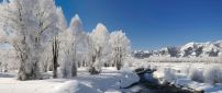 Frozen river - beautiful white winter landscape