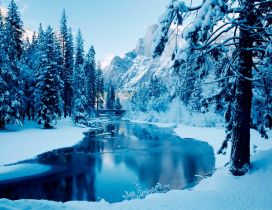 Cold winter mountain river - White nature landscape