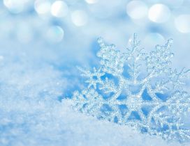 Perfect snowflake  - cold winter season