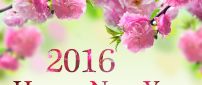 Happy New Year 2016 - beautiful spring