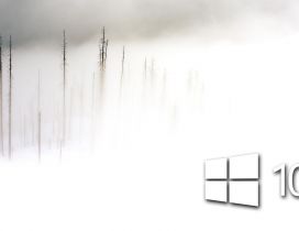 White Windows 10 in the foam - frozen wallpaper