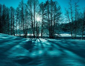 Blue and green winter light - HD wallpaper