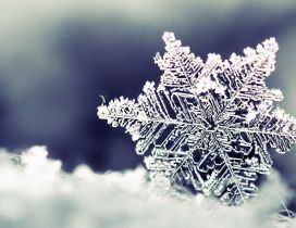 Beautiful crystal snowflake - macro HD wallpaper
