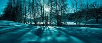 Blue and green winter light - HD wallpaper