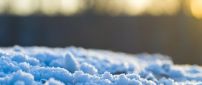 Frozen snow - beautiful macro HD wallpaper