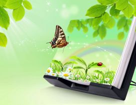 Magic book - nature and butterfly